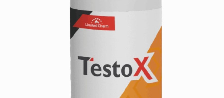 TestoX-Srbija-i-Bosna-i-Hercegovina